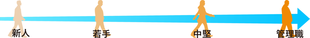 新人→若手→中堅→管理職